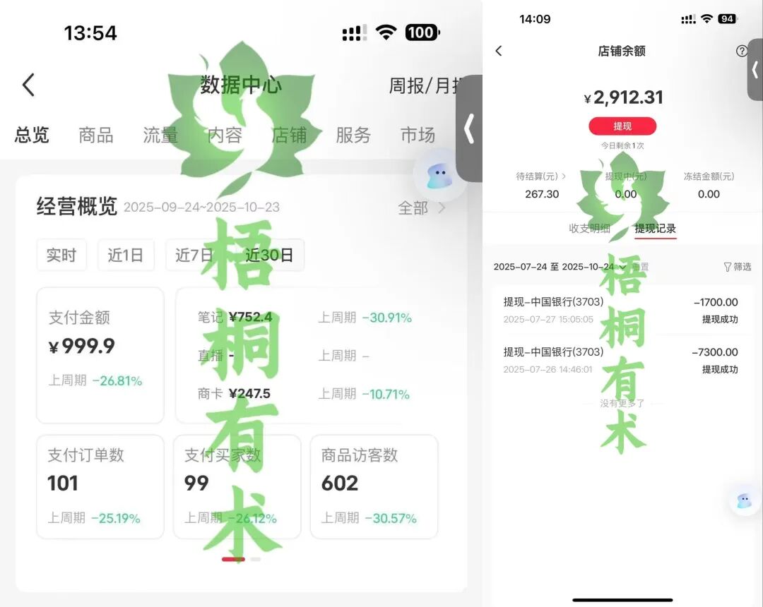 0基础小白小红书做这个，已到手12912，一台手机就能操作！